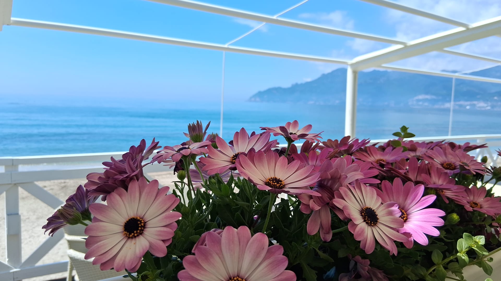 Fiori sulla terrazza con vista sul Golfo di Salerno